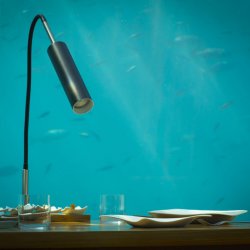 De 5 meest bijzondere restaurants