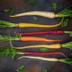 Wat zit er achter de hype over veganisme en vegetarisme?